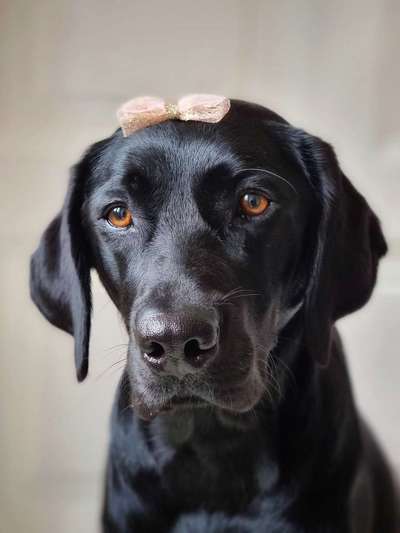 Mythen und warum sie sich so hartnäckig halten-Beitrag-Bild