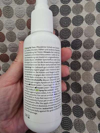 Bravecto-Beitrag-Bild