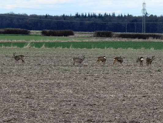Was hat euch heute genervt?-Beitrag-Bild