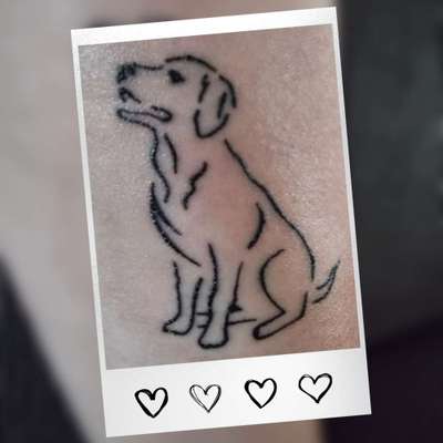 Tattoo vom Vierbeiner-Beitrag-Bild