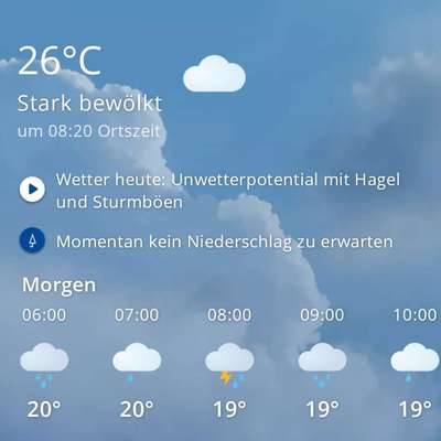 Was hat euch heute mit eurem Hund gefreut?-Beitrag-Bild