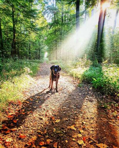 Farben Fotochallenge Sonnenlicht-Beitrag-Bild