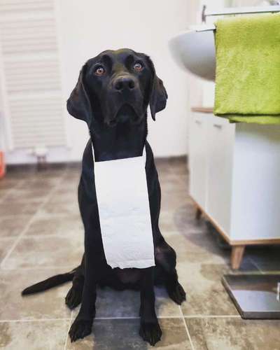 41. Handy Fotochallenge - Euer gemeinsames Hobby-Beitrag-Bild