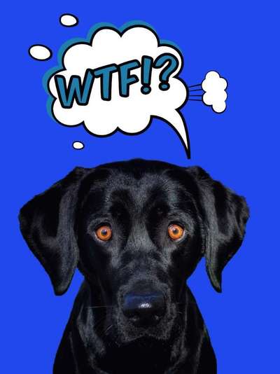 Photoshop und Co.-Beitrag-Bild