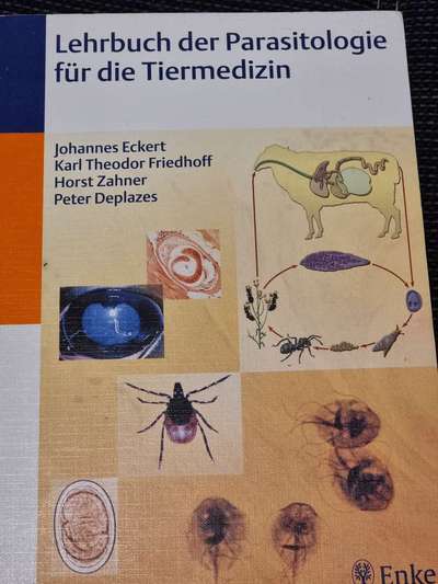 BRAVECTO-Beitrag-Bild