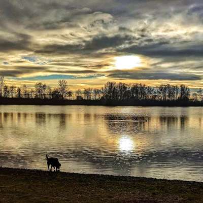 18. Farben Fotochallenge: Sonnenuntergang-Beitrag-Bild