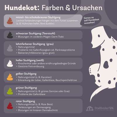 Kotfarbe ?-Beitrag-Bild