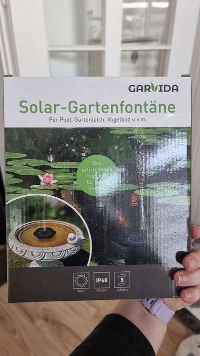 Was hat euch heute gefreut?-Beitrag-Bild