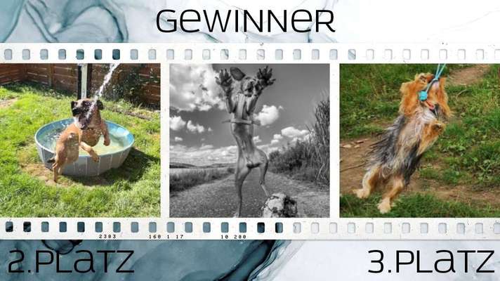 FOTO CHALLENGE Thema ,,durchdrehen"-Beitrag-Bild