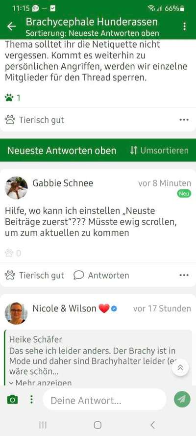 Brachycephale Hunderassen-Beitrag-Bild