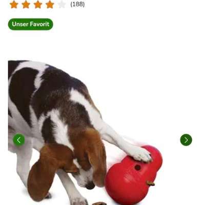 Normales Nass- oder Trockenfutter? Nicht mit Sam-Beitrag-Bild