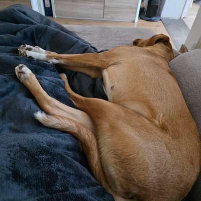 Was hat euch heute gefreut?-Beitrag-Bild