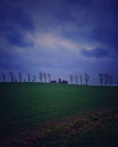 Die wunderschöne Welt mit Hund.-Beitrag-Bild