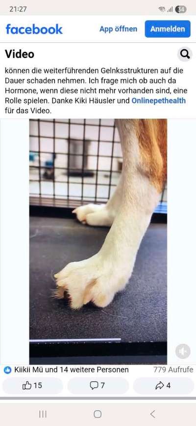 Krallen schneiden-Beitrag-Bild