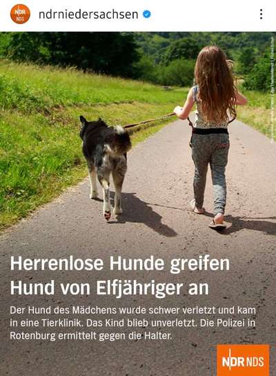 Kind mit Hund alleine unterwegs-Beitrag-Bild