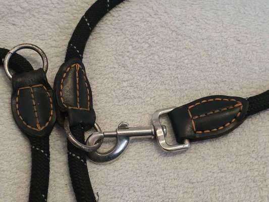 Qualitativ hochwertige Leine 3 - 5 m gesucht-Beitrag-Bild