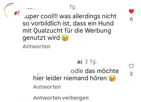 Qualzucht - Warum Aufklärung alleine nicht reicht-Beitrag-Bild