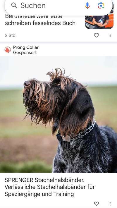 Was hat euch heute genervt?-Beitrag-Bild