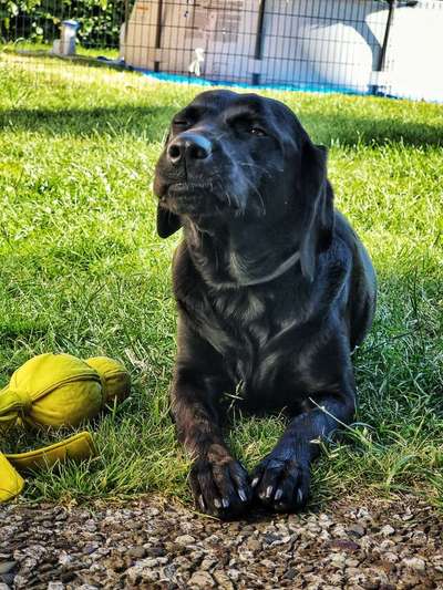 Foto-Challange No.1 - Alles aber nicht die Kamera-Beitrag-Bild