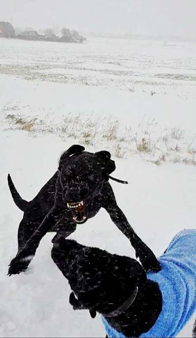 Klischeedenken einiger Menschen-Beitrag-Bild