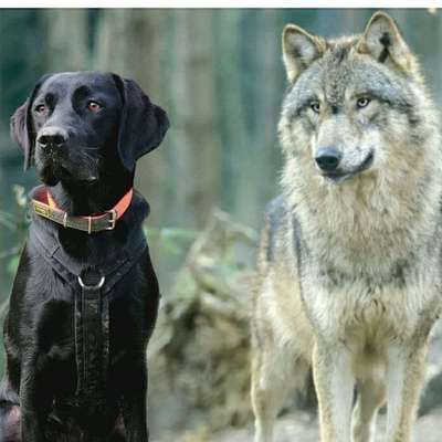 Photoshop und Co.-Beitrag-Bild