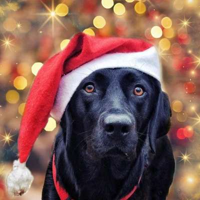 It's beginning to look a lot like.....-Beitrag-Bild