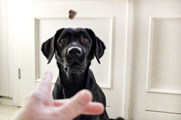 14. Farbenfoto-Challenge "Weiss"-Beitrag-Bild