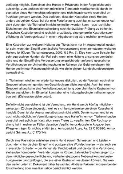 Vorsorgeultraschall bei Hündin wegen Gebärmutterentzündung-Beitrag-Bild