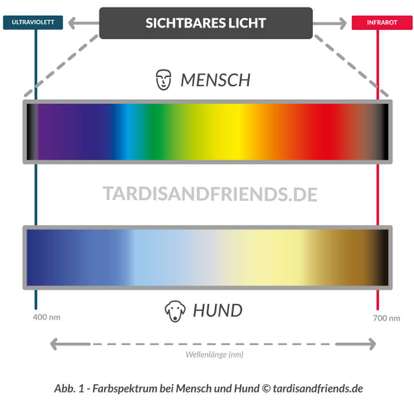 Hundespielsachen oder Sextoy-Beitrag-Bild