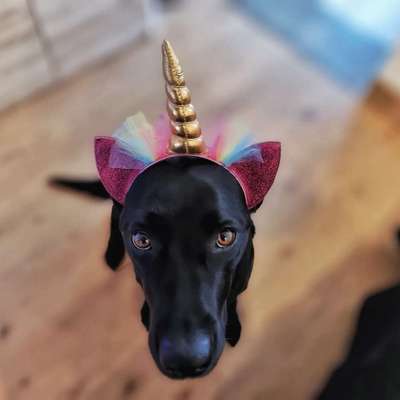 Handy-Foto Challange Nr. 10-Beitrag-Bild