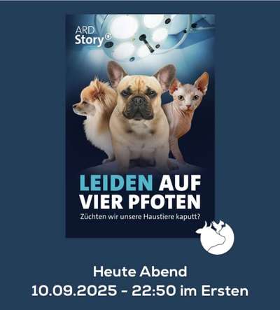 Qualzucht - Warum Aufklärung alleine nicht reicht-Beitrag-Bild