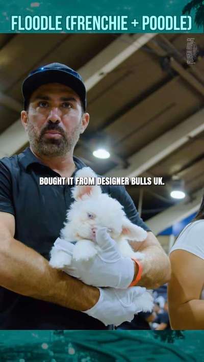 Was hat euch heute genervt?-Beitrag-Bild