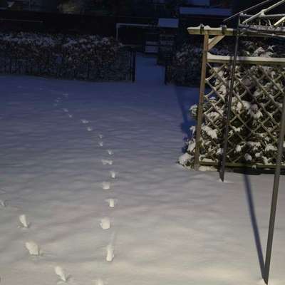 Was hat euch heute genervt?-Beitrag-Bild