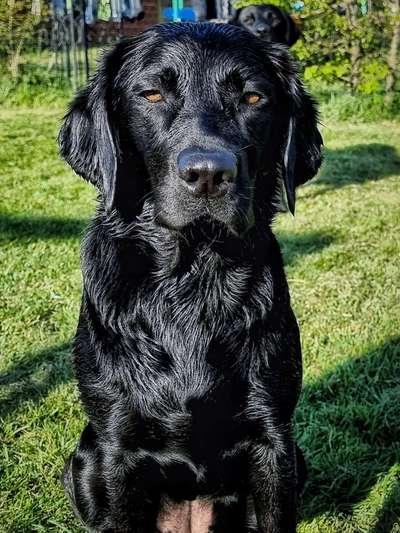 Was hat euch heute genervt?-Beitrag-Bild