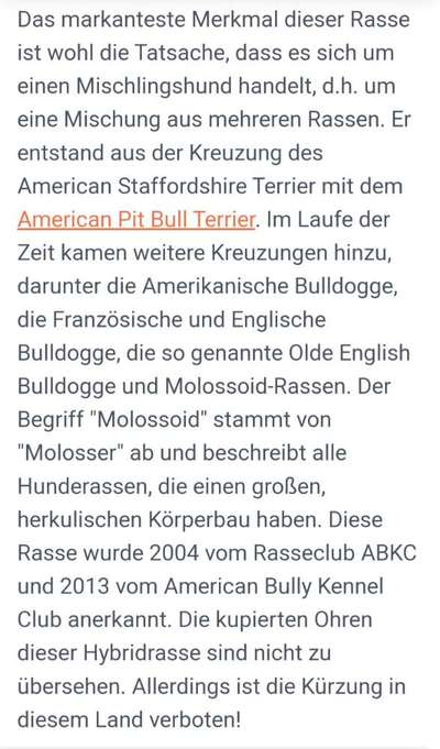 Hund wurde weggenommen weil er als gefährlich eingestuft wurde-Beitrag-Bild
