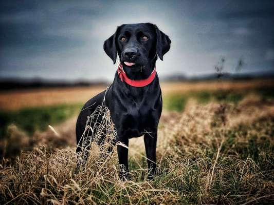 20. Handy -Foto-Callenge-Beitrag-Bild