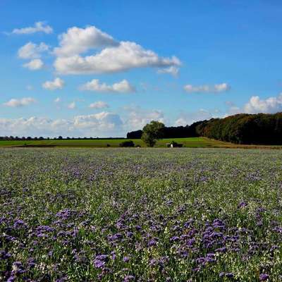 Was hat euch heute gefreut?-Beitrag-Bild