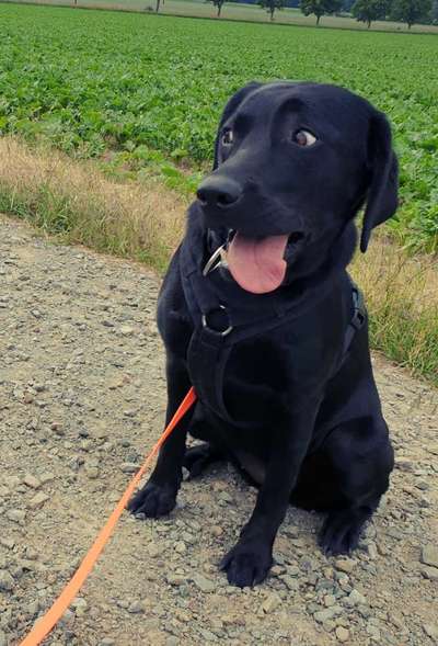 Her mit dem Grimassen-Beitrag-Bild