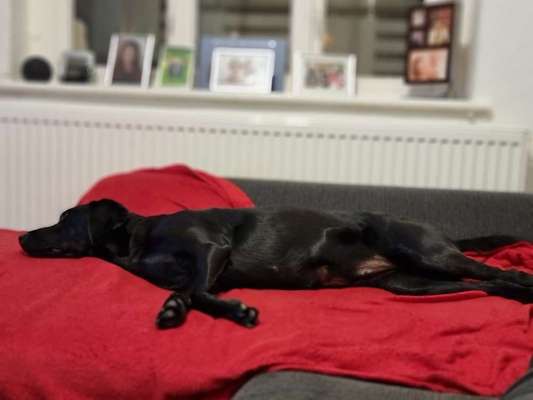 Was hat euch heute gefreut?-Beitrag-Bild