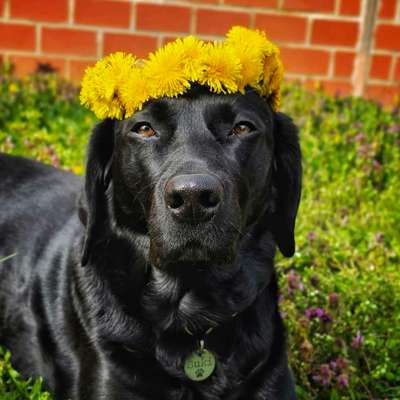 Was hat euch heute gefreut?-Beitrag-Bild