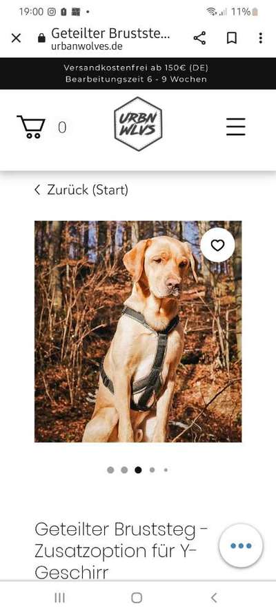 Seltsames Geschirr-Beitrag-Bild