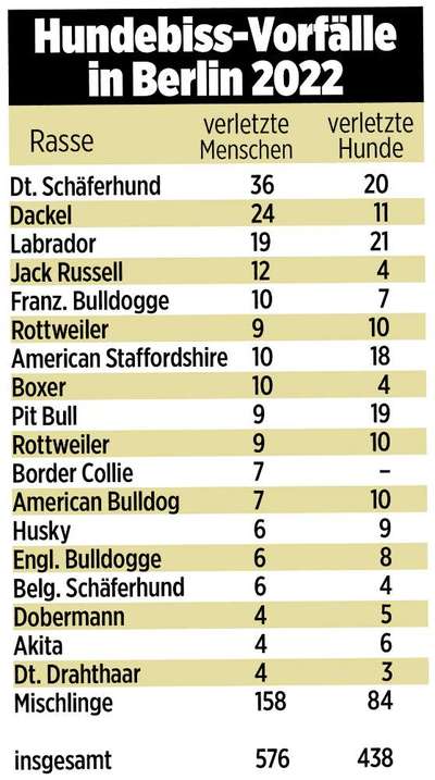 Thema Beißstatistik-Beitrag-Bild