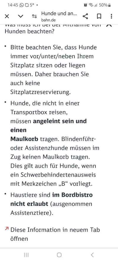 Fake News in der Hundewelt-Beitrag-Bild