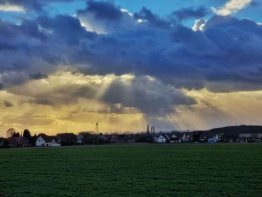 Die wunderschöne Welt mit Hund.-Beitrag-Bild