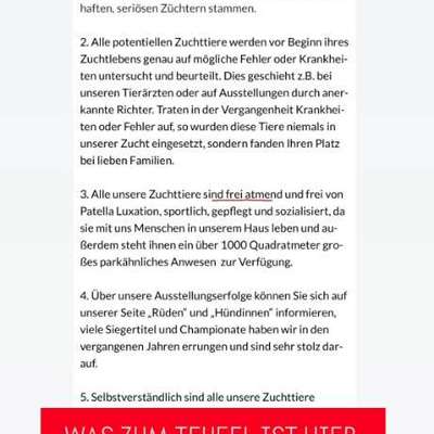 Qualzucht - Warum Aufklärung alleine nicht reicht-Beitrag-Bild