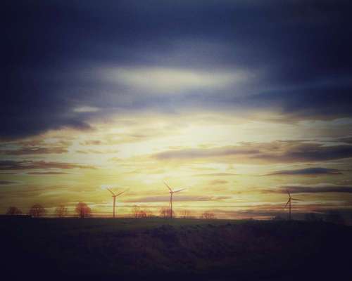 Die wunderschöne Welt mit Hund.-Beitrag-Bild