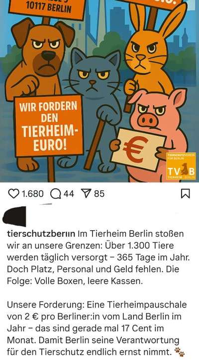 Tierheimpauschale - Zwangsabgabe 
Ja oder Nein?-Beitrag-Bild