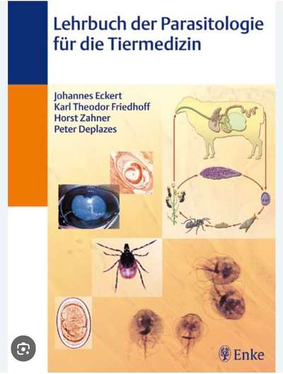 Wird zu selten entwurmt? Wurmbefall bei Hunden in Deutschland-Beitrag-Bild