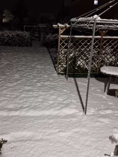 Was hat euch heute genervt?-Beitrag-Bild