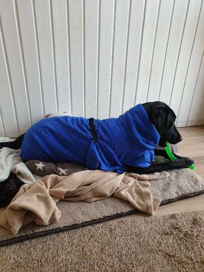 Giftköder-Beitrag-Bild